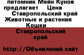 питомник Мейн Кунов предлагает. › Цена ­ 15 000 - Ставропольский край Животные и растения » Кошки   . Ставропольский край